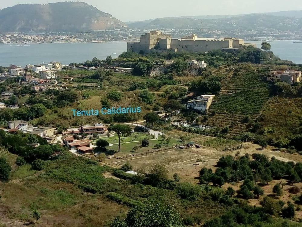 Tenuta Calidarius Baia  Kültér fotó
